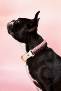 Collier Nala Choco & Rose