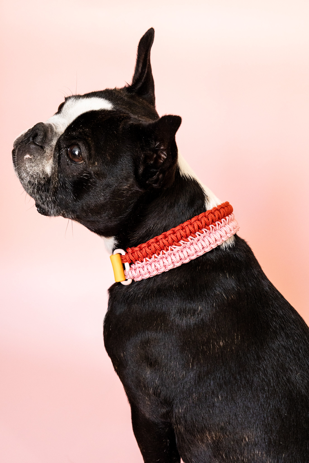 Collier Nala – Sur mesure