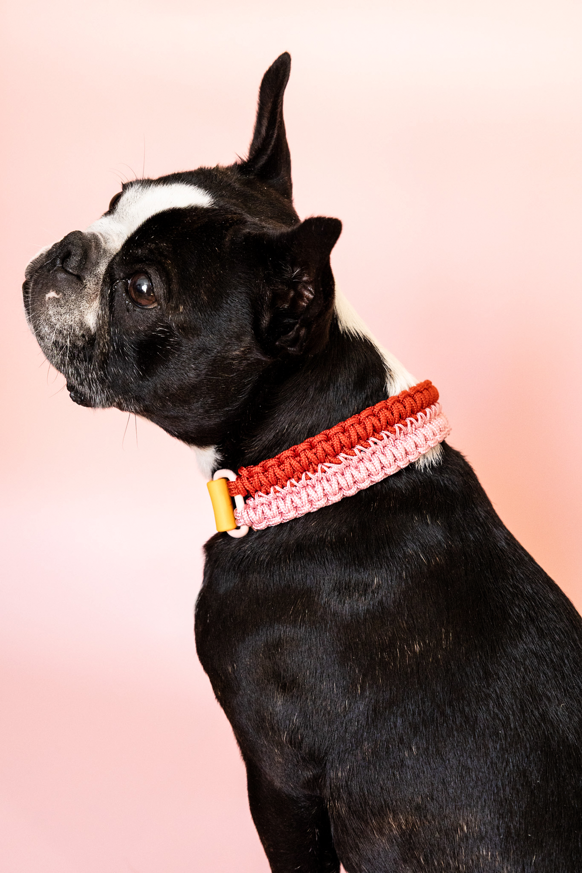 Collier Nala – Sur mesure
