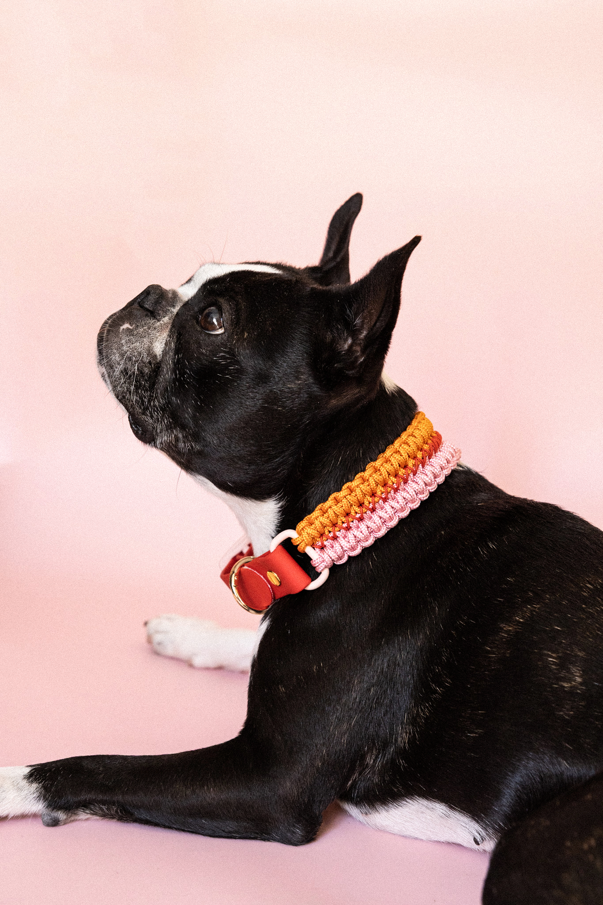 Collier Nala Orange & Rose