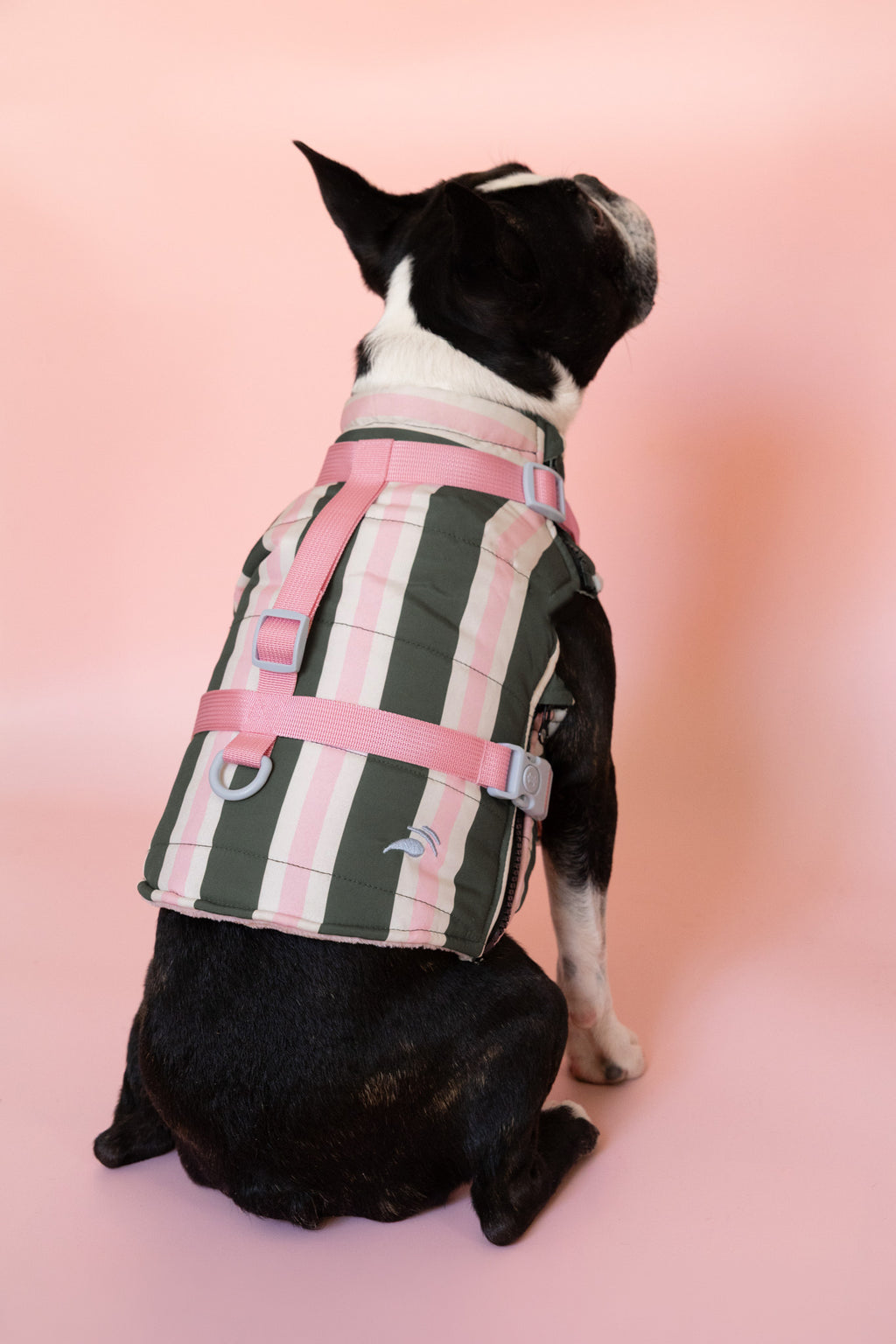PRÉCOMMANDE – Doudoune modulable Prisca pour chien, harnais en Y intégré