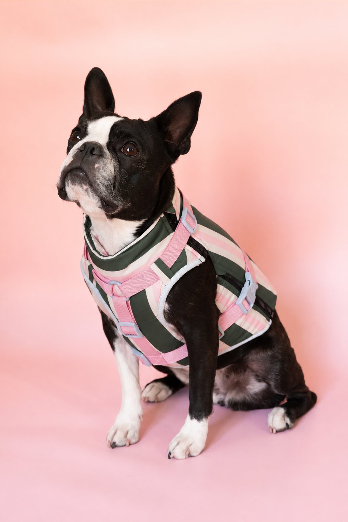 PRÉCOMMANDE – Doudoune modulable Prisca pour chien, harnais en Y intégré