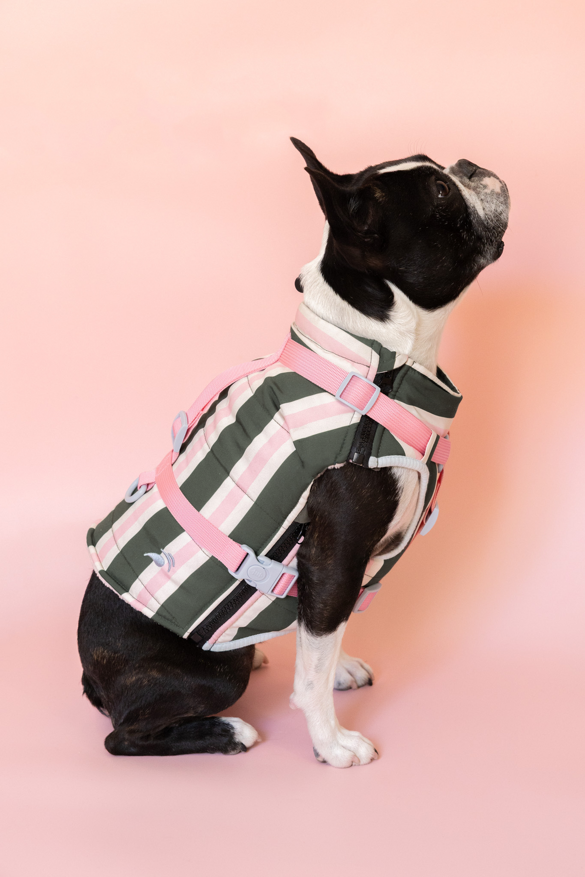 PRÉCOMMANDE – Doudoune modulable Prisca pour chien, harnais en Y intégré