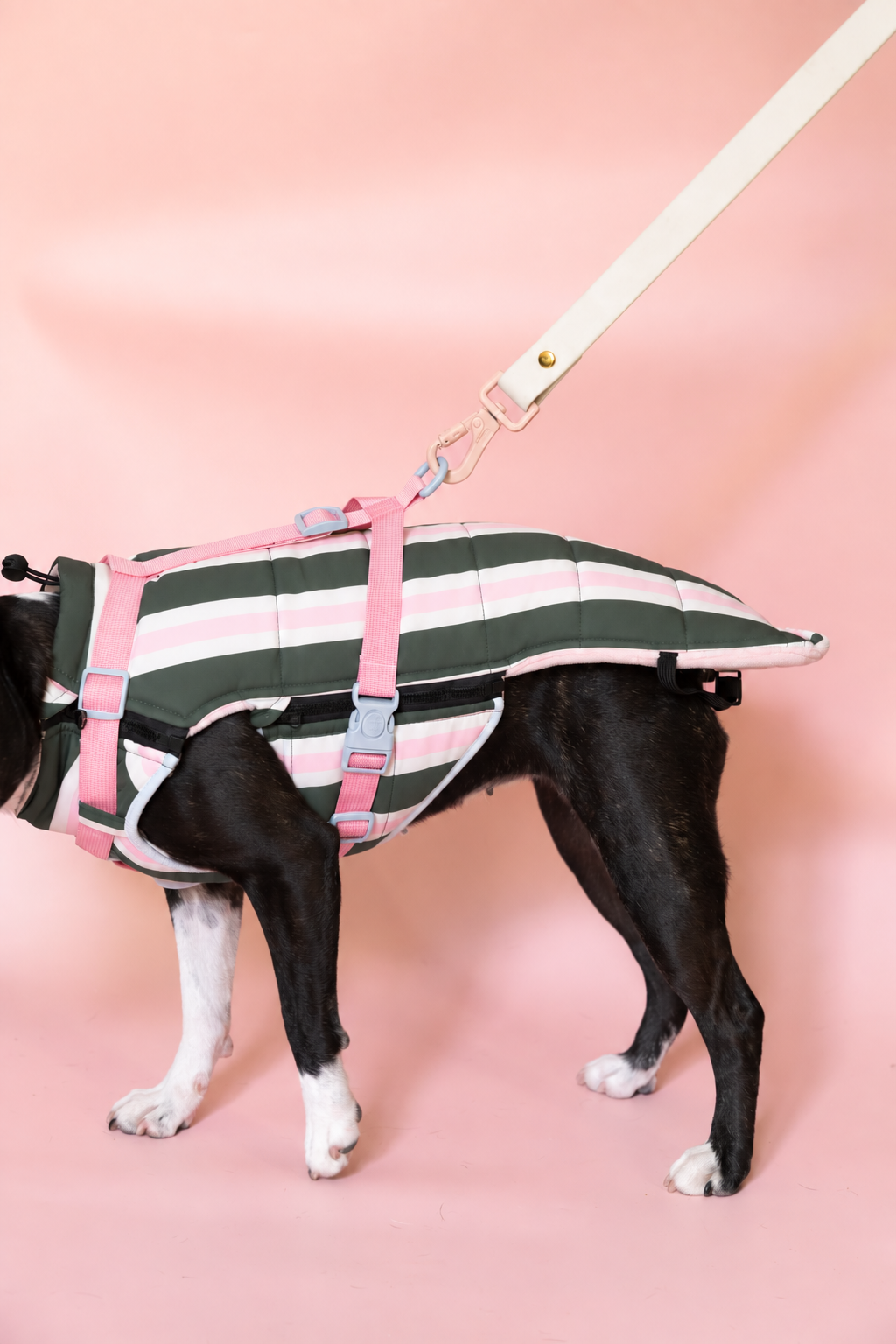 PRÉCOMMANDE – Doudoune modulable Prisca pour chien, harnais en Y intégré