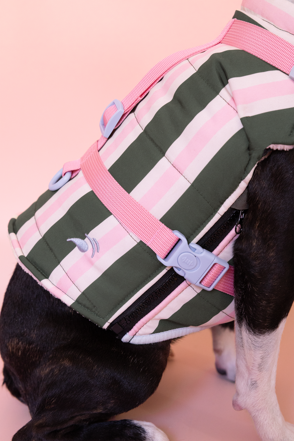 PRÉCOMMANDE – Doudoune modulable Prisca pour chien, harnais en Y intégré