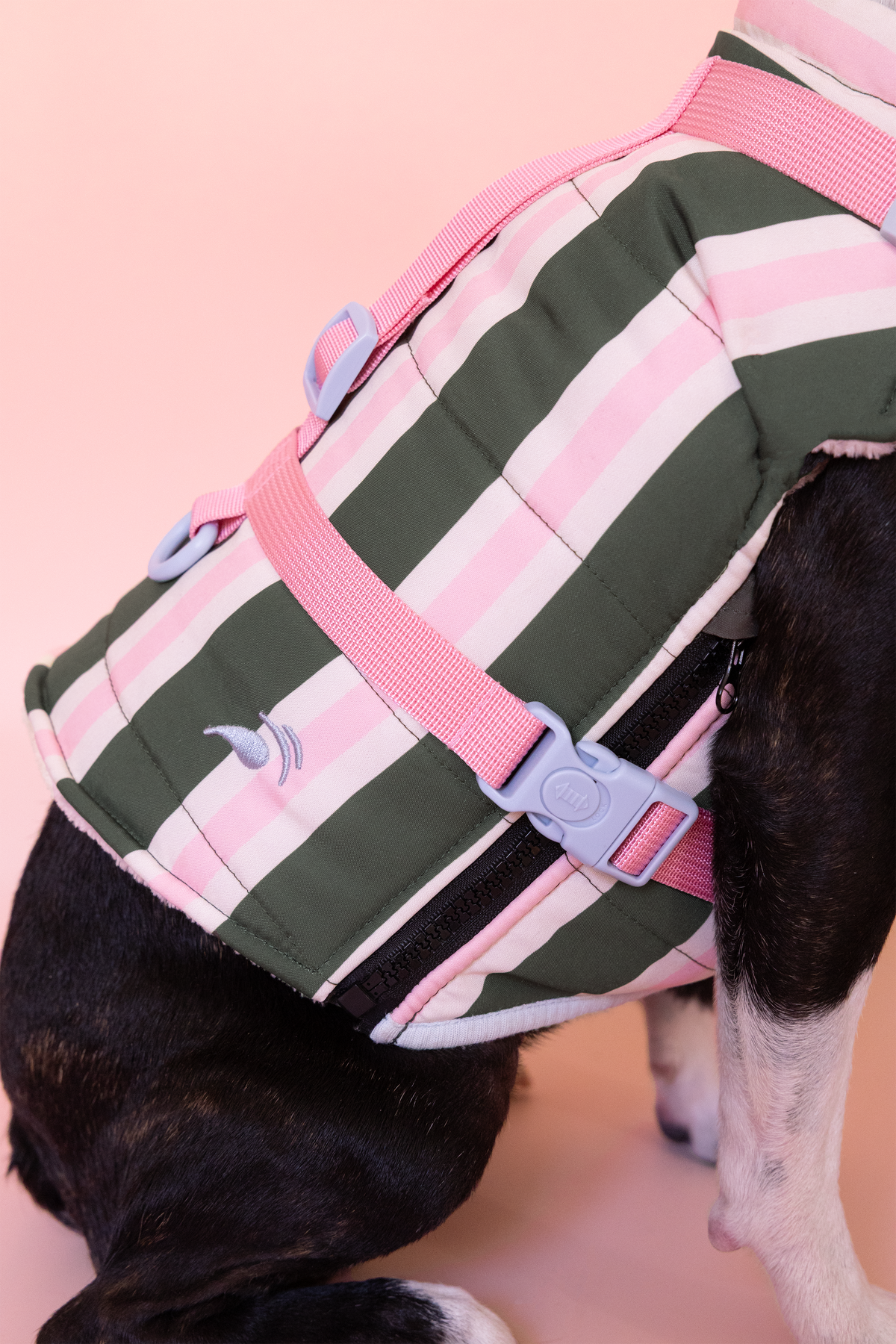 PRÉCOMMANDE – Doudoune modulable Prisca pour chien, harnais en Y intégré