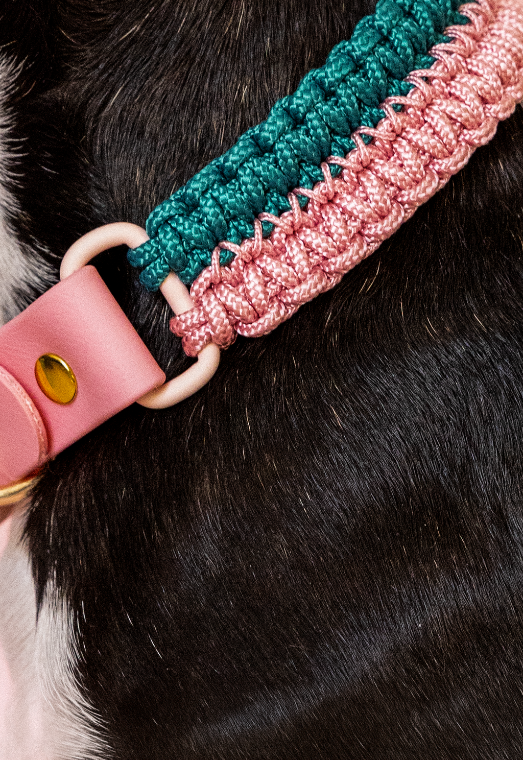 Collier Nala Vert & rose