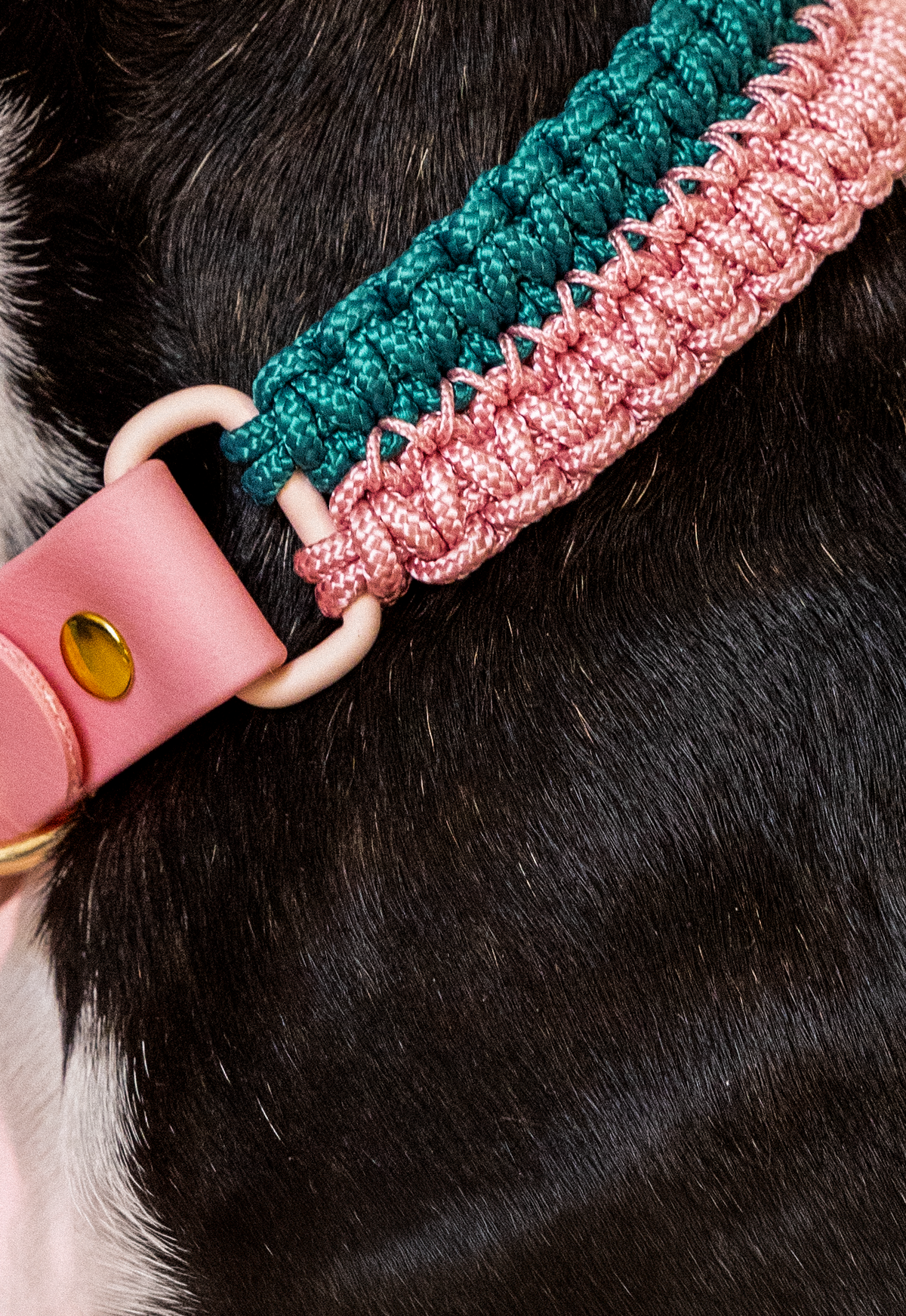 Collier Nala Vert & rose