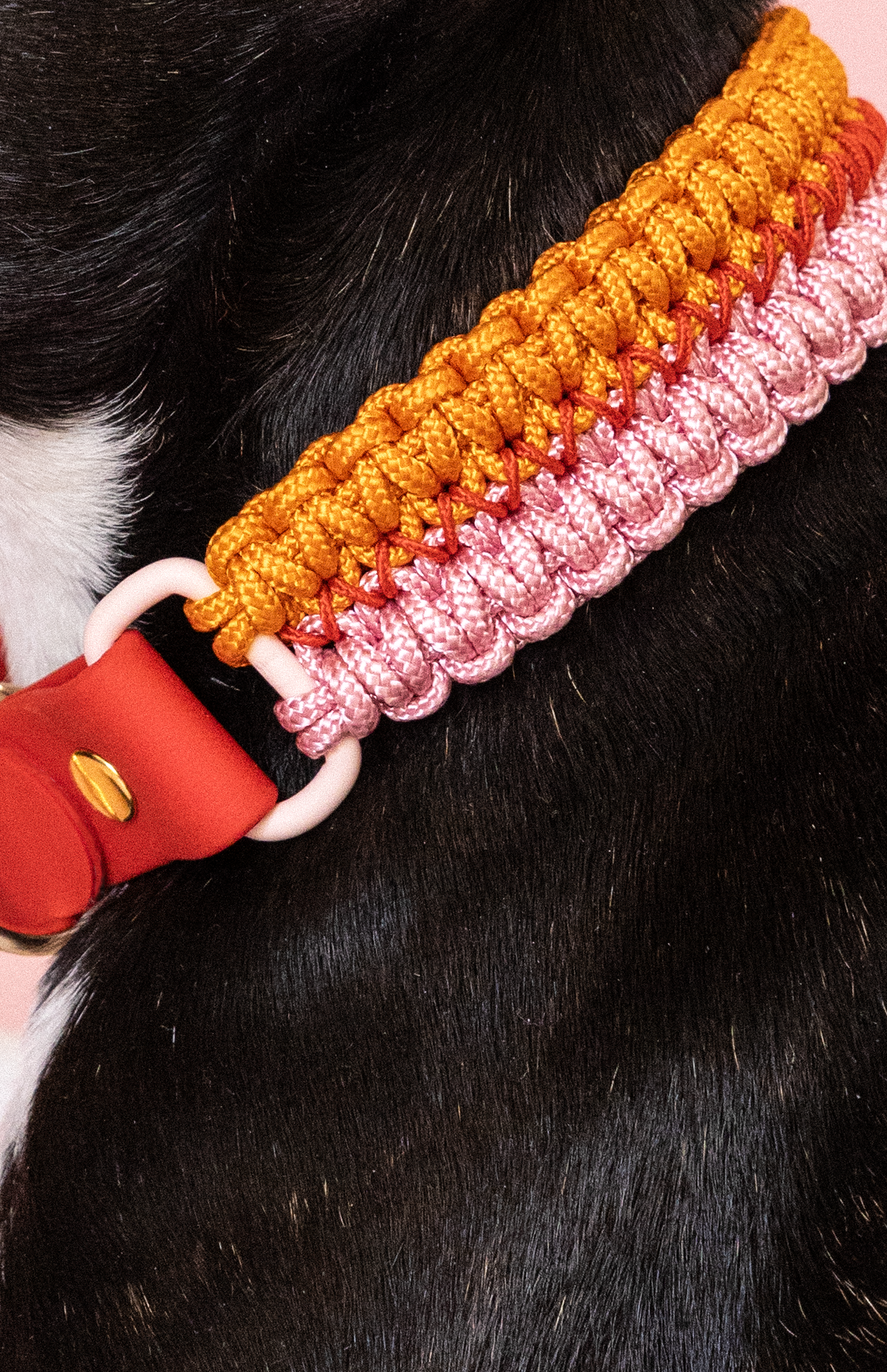 Collier Nala Orange & Rose